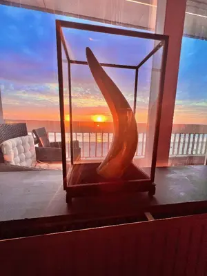 a large glass container with a view of a sunset at Ocean BreezeApartment: WakeUp 2 Sound of the Waves in Zandvoort
