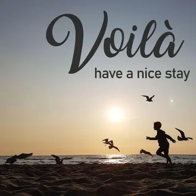 a person running on the beach with birds flying at Have a nice stay! - Voilà! - beach at 500m- free parking in Noordwijk aan Zee