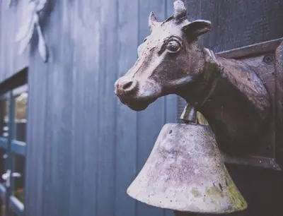 a statue of a cow head on a bell at Kapberg 'Om de Noord' in Warmenhuizen