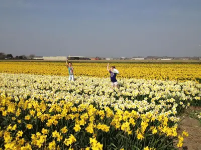 two people standing in a field of flowers at Nicolette Apartments in Katwijk