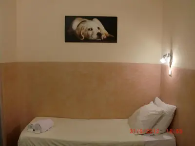 a picture of a dog on the wall above a bed at Budget Hotel Neutraal in Amsterdam