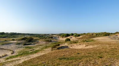 a view of the desert from the top of a hill at Strandhuis aan zee in Noordwijk
