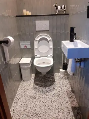 a small bathroom with a toilet and a sink at vakantiehuis Warder in Warder