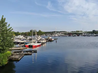 a group of boats docked at a marina at House of Straw Amsterdam in Amsterdam