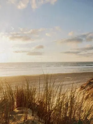 a sandy beach with the ocean in the background at appartement-gratis parkeren -bij strand en in het centrum in Noordwijk