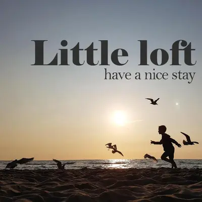 a man running on the beach with birds flying at Have a nice stay! - Little Loft, Summerhouse near the beach in Noordwijk aan Zee