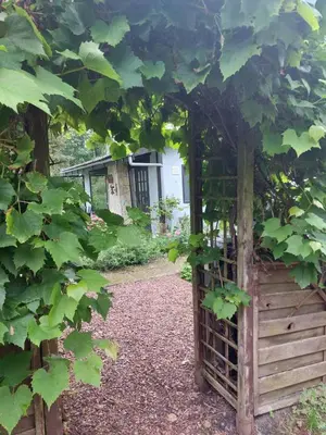 a garden with a wooden gate with a bunch of grapes at Natuurhuisje Eartswoud in Aartswoud