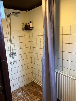 a shower with a shower curtain in a bathroom at Natuurhuisje Eartswoud in Aartswoud