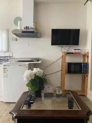 a living room with a table with a tv and flowers at La Luna - Denise in Heerhugowaard