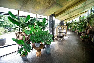 a room filled with lots of potted plants at Apollo Hotel Amsterdam, a Tribute Portfolio Hotel in Amsterdam