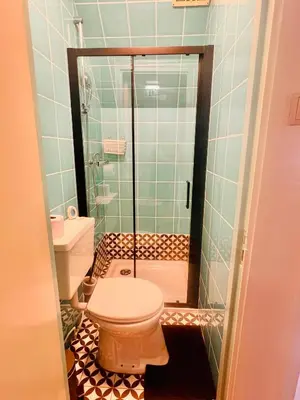 a bathroom with a toilet and a shower at Odyssee in Zandvoort