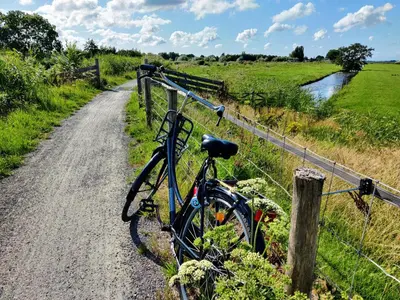 a bike parked next to a fence on a dirt road at Park De Driesprong in Nieuwveen