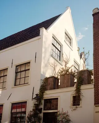 a white building with windows and potted plants on it at hotel calisto in Amsterdam