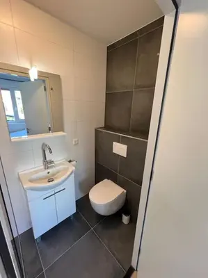 a bathroom with a toilet and a sink at Duinroos aan Zee in Egmond aan Zee