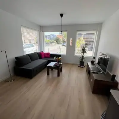 Duinroos aan Zee