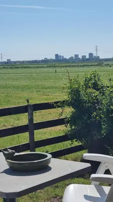 a bird bath sitting on a table in front of a fence at City Farmers Lodge, a Guesthouse with a skyline view in Rural Amsterdam in Amsterdam