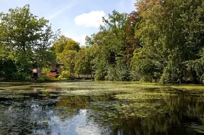 a pond with trees and a house in the background at Het Wapen van Harmelen in Harmelen