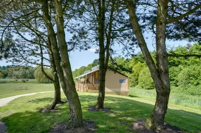 a house in the middle of a field with trees at Sunny Trio in Zeewolde