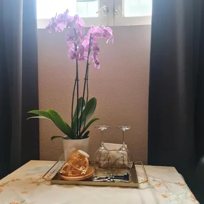 a vase with purple flowers and glasses on a table at Crown Guesthouse Amsterdam in Amsterdam
