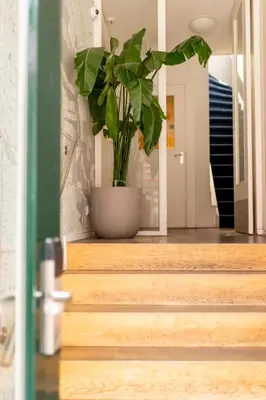 a potted plant sitting on the stairs of a house at Hotel La Bohème in Amsterdam