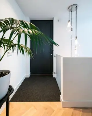 a hallway with a black door and a potted plant at Beautiful Amstel houseboat in Amsterdam