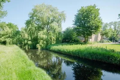 a river in a park with trees and grass at CityHouse Alkmaar in Alkmaar