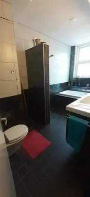 a bathroom with a toilet and a sink and a shower at CHARLOTTE, not for parties, not a hotel, room with shared bathroom, no kitchen in Amsterdam