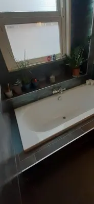 a bathroom sink with potted plants on a window sill at CHARLOTTE, not for parties, not a hotel, room with shared bathroom, no kitchen in Amsterdam