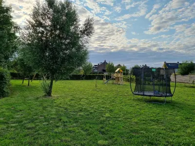 a park with a tree and a swing at DW Castricum in Castricum