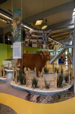 a statue of a cow on display in a museum at DW Castricum in Castricum