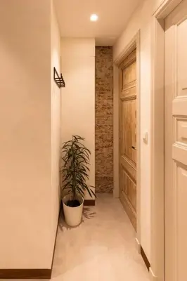 a hallway with a potted plant and a door at Appartement met tuin in Haarlem centrum(Vijfhoek) in Haarlem