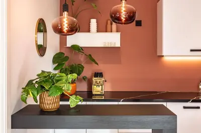 a kitchen with a counter with a plant and lights at Boutique Studio Amsterdam near RAI and De Pijp in Amsterdam