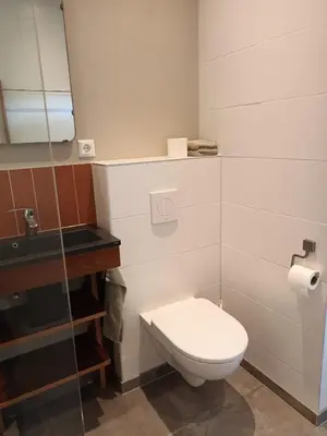 a bathroom with a toilet and a sink at Bollenboet in Sint Maarten
