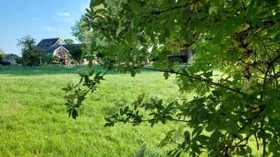 a field of green grass with a house in the background at Bollenboet in Sint Maarten