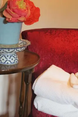 a flower in a pot on a table next to a couch at Villa Zomerdijk in Velsen-Zuid