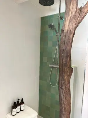 a bathroom with a tree in the shower at Meerpaal 43 Bergen in Bergen