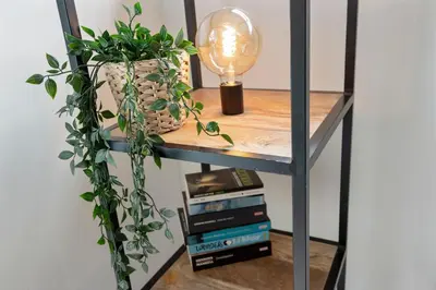 a shelf with books and a lamp and a plant at Amsterdam Dunes Holiday Home in Zandvoort