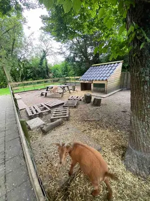 a baby goat walking around in a zoo at La Luna - Gino in Heerhugowaard