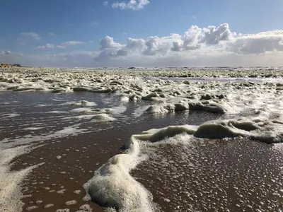 a beach with snow on the sand and water at Eco lodge Duin- unieke locatie -strand, duin en nabij cultuursteden in Castricum