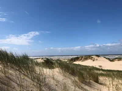 a beach with sand dunes and the ocean at Eco lodge Duin- unieke locatie -strand, duin en nabij cultuursteden in Castricum