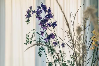 a vase filled with purple flowers next to a window at Elegant Boutique Apartment 45m2 w Amazing Views in Amsterdam