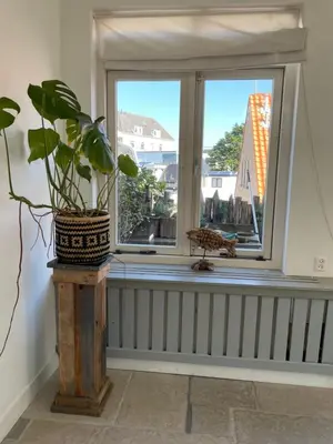 a window with a potted plant in a room at Pothuis Zuid in Zandvoort