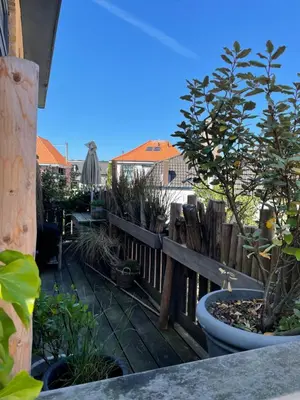 a wooden fence with a bunch of potted plants at Pothuis Zuid in Zandvoort