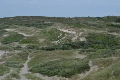 an open field with grass and dirt roads at Glücklich am Meer Meerblick mit Wellnesszugang in Egmond aan Zee