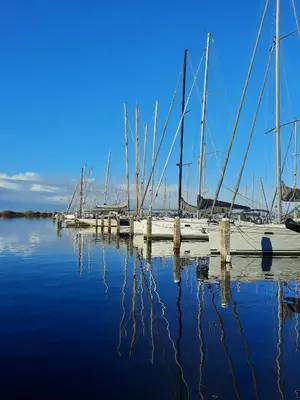 a group of boats docked at a dock in the water at Studio Flevo Batavia in Lelystad