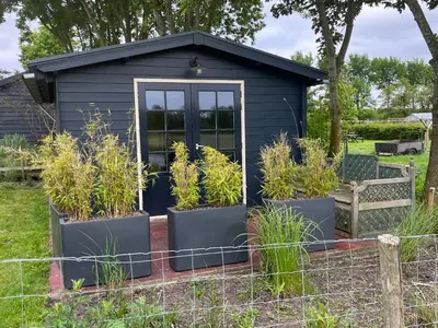 a blue shed with plants in front of it at Huize Leeghwater in Zuidoostbeemster