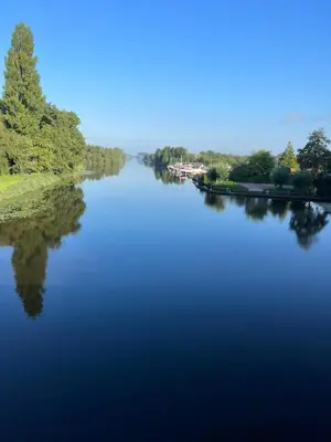 a river with a tree in the middle of it at Huisje op de dijk in Kortenhoef