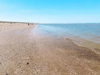 a beach with a group of people walking on the water at Holiday Home near Dutch Coast & Green Park in Noordwijk