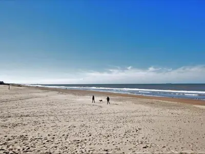 two people and a dog walking on the beach at Holiday Home near Dutch Coast & Green Park in Noordwijk