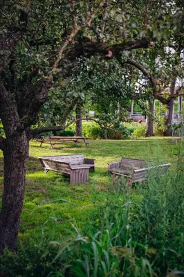 a park with benches and a picnic table under a tree at Hajé Nieuwegein in Nieuwegein